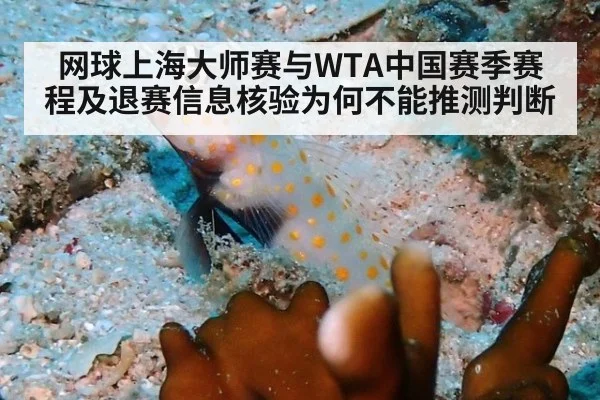 网球上海大师赛与WTA中国赛季赛程及退赛信息核验为何不能推测判断